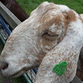 2016-07-23-005