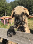 2018-12-27-002